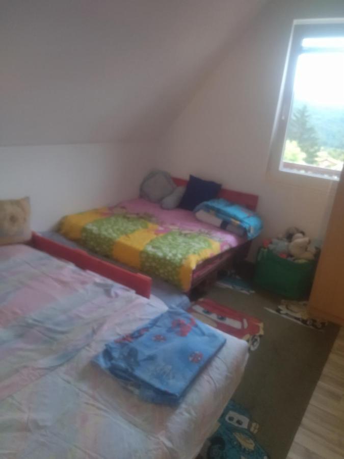 Bor, Savaca - Porodicna Vikendica Za Izdavanje 외부 사진