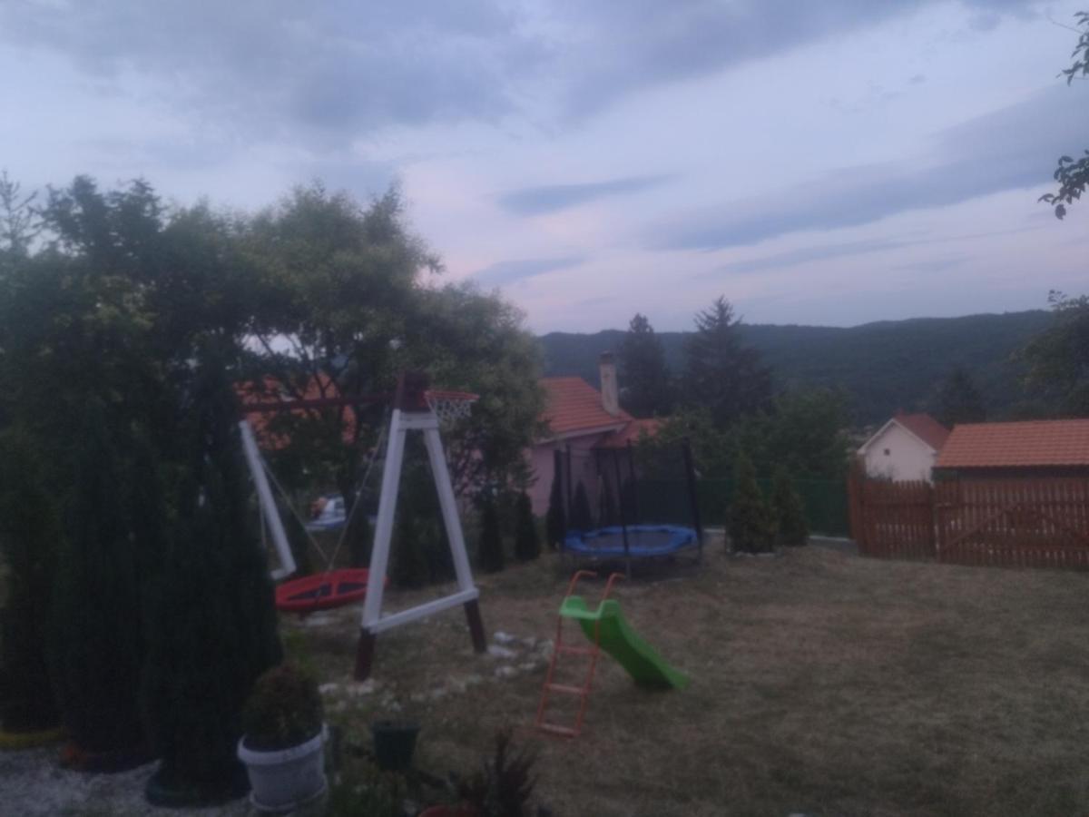 Bor, Savaca - Porodicna Vikendica Za Izdavanje 외부 사진